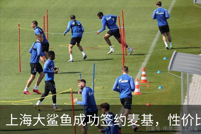 上海大鲨鱼成功签约麦基，性价比显著引关注